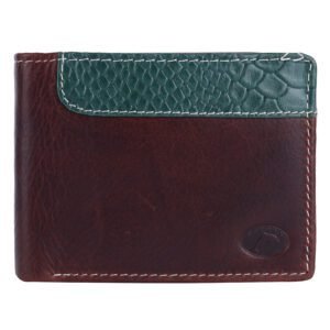 Delfin Genuine Leather Wallet for Men (Brown)