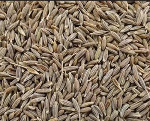cumin seeds