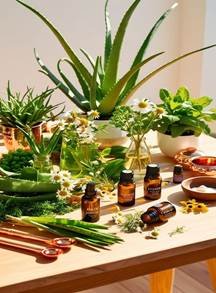 Herbal and Organic Hair Products