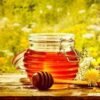 mustard honey