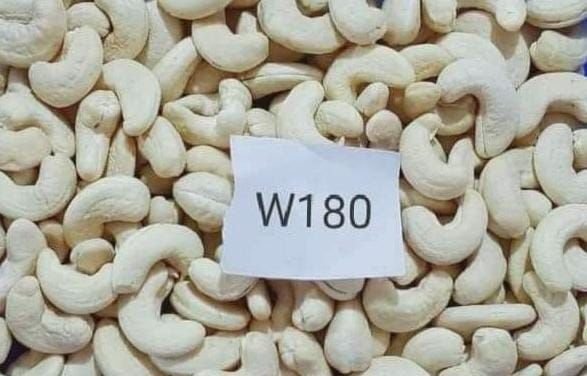w180 cashew nut