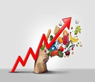 Import Substitution Disadvantages