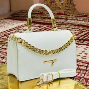 Fancy and Stylish Bag