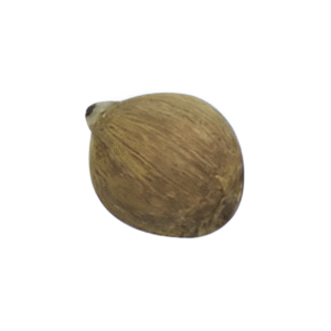 Shriphal (1Pc)