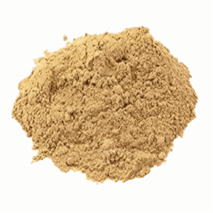 Safed Chandan (50gm)
