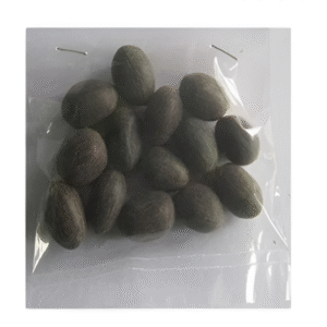 Kamal Gatta (1Pkt)