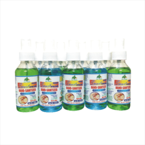 Sanitizer 100ml Spray