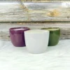 Multicolor Khurja Ceramic Indoor Planters