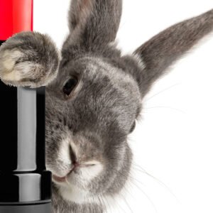 Cruelty-Free Products