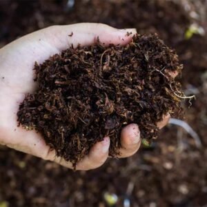 Organic Fertilizer