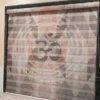 printed-zebra-blinds-500x500
