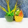 Square Shape Khurja Ceramic Succulent Planters