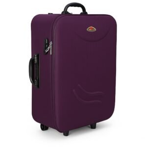 Trolley Bag Suitcase for Travel 24 Inch | 3 Wheel Skatable Luggage | Lightweight Cabin Luggage | Durable Hard/Soft Travel Bag | Rolling Travel Case for Men Women (Blue)