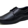SUMO (2)